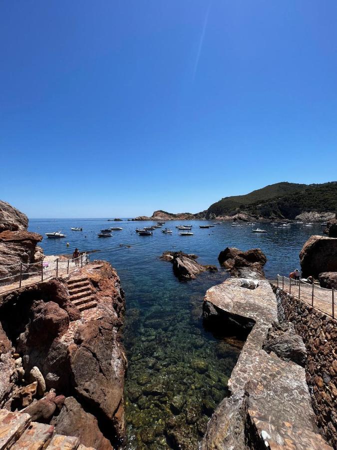 Cap Sa Sal Suites -Apartament Begur - Costa Brava מראה חיצוני תמונה